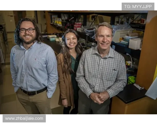 AG真人国际厅注册流程详细解析，帮助用户避免常见注册难题